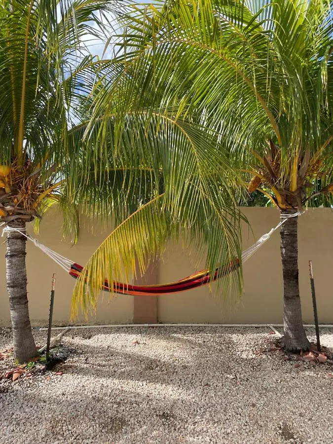 Entire 4Bdr Vistalmar Villa With Private Pool Oranjestad